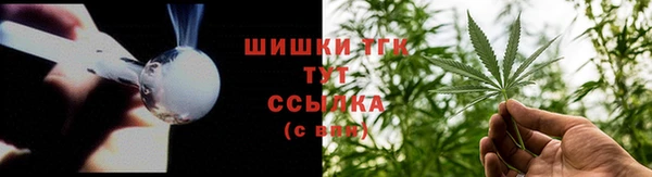 гашик Алексин