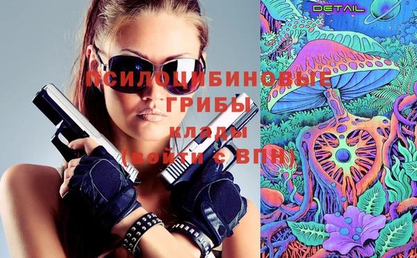 спайс Арсеньев