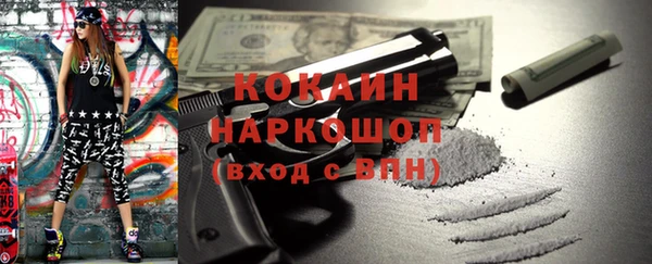 гашик Алексин