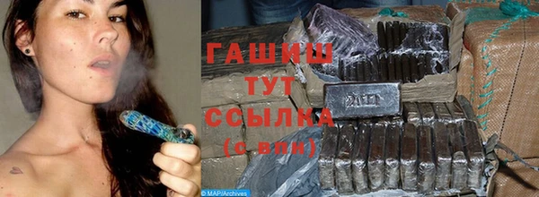 гашик Алексин