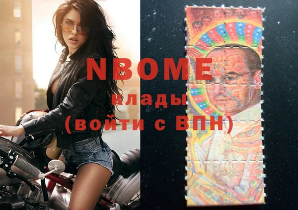 гашик Алексин