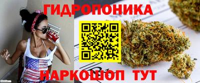прущие грибы Коммунар
