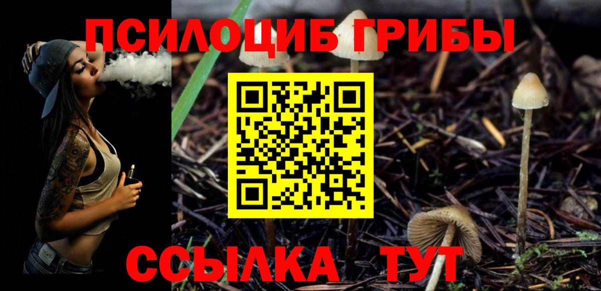 Псилоцибиновые грибы Cubensis  Вход с VPN  купить   Куйбышев  Псилоцибиновые грибы прущие грибы 