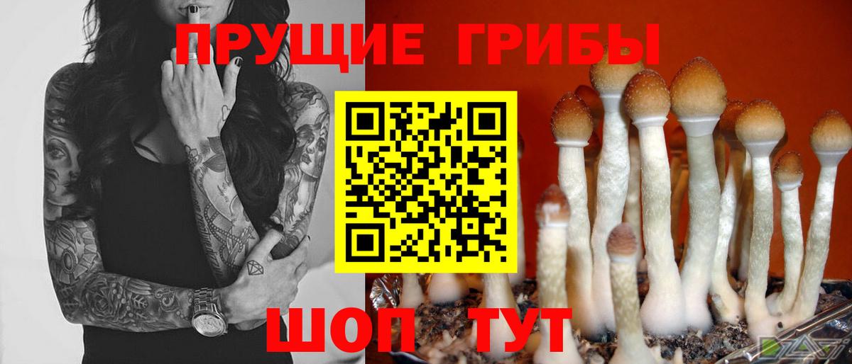 МЕТАДОН Куйбышев