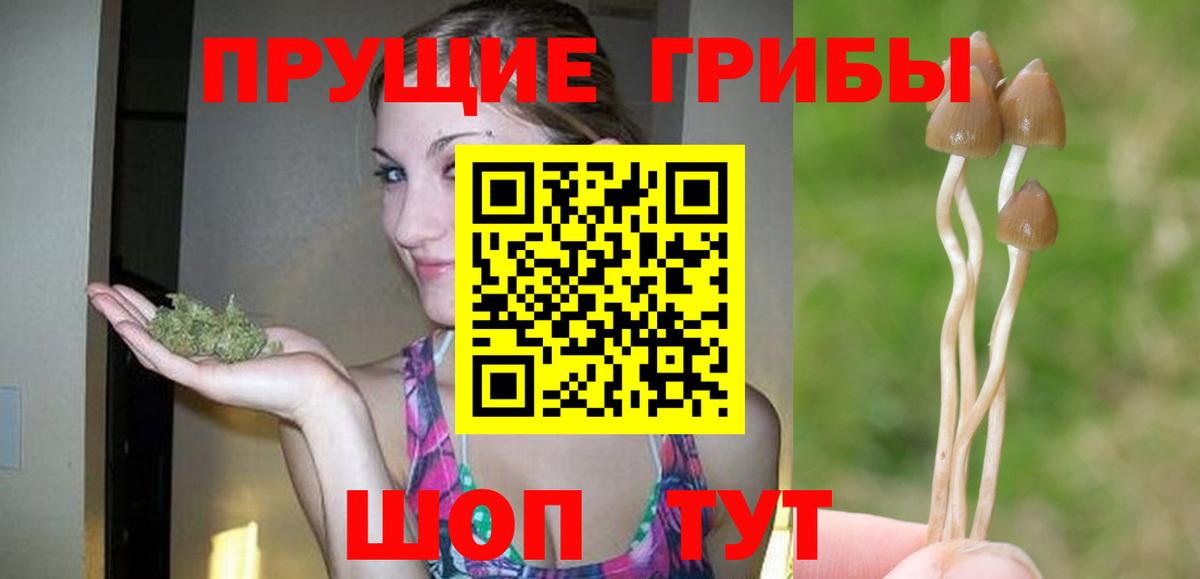 Галлюциногенные грибы мухоморы Куйбышев